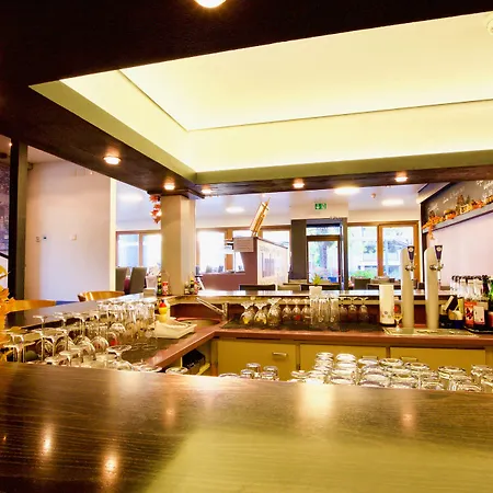 Hotell Du Rhone Sion