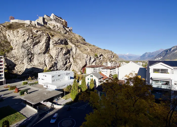 ホテル Du Rhone シオン