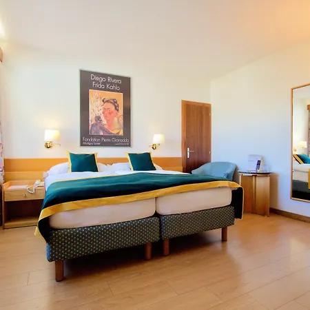 Otel Du Rhone Sion