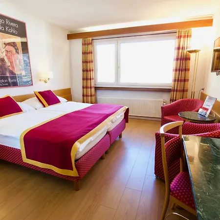 Du Rhone Otel Sion
